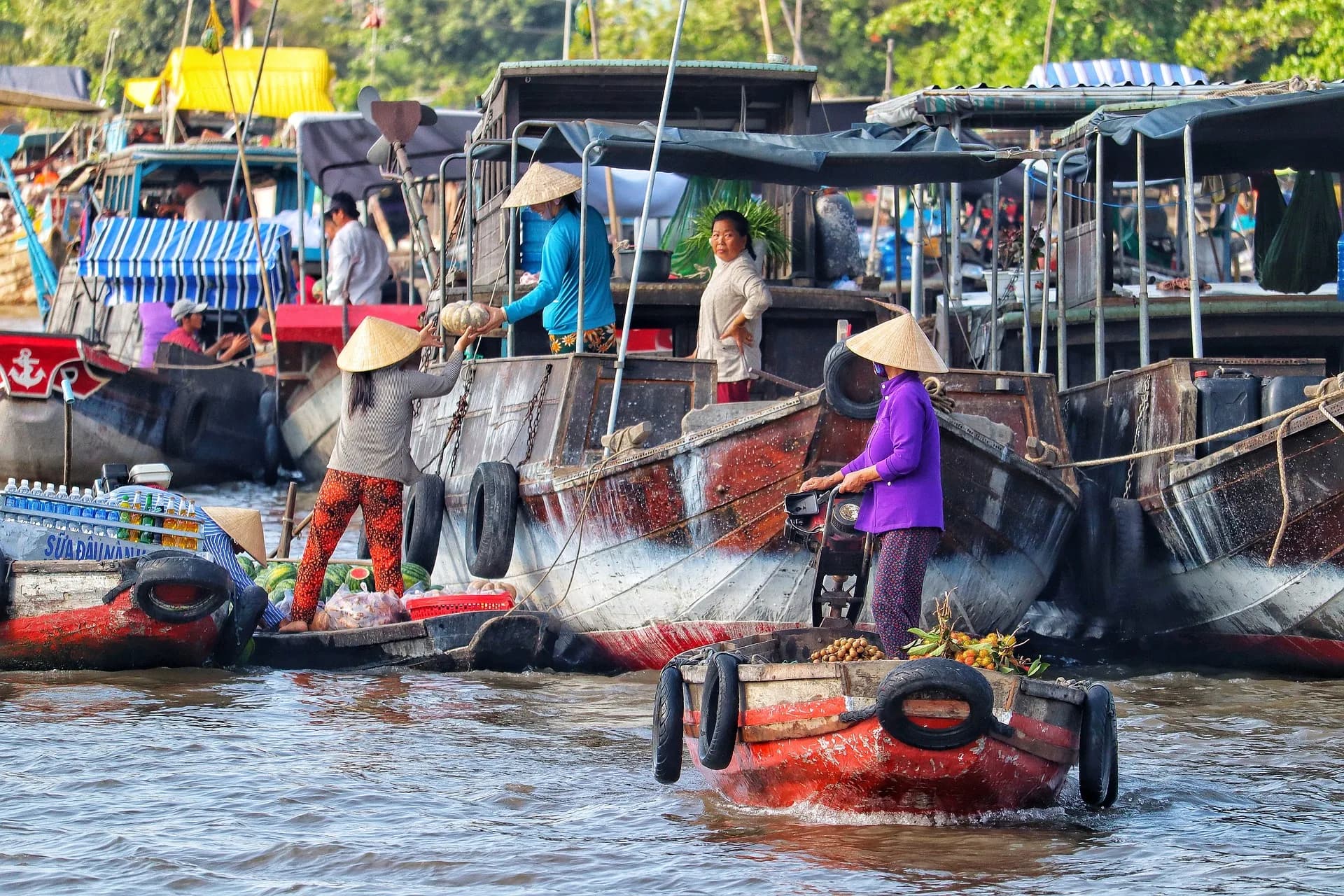 Nông - Thủy sản miền Tây và Hệ sinh thái Amazing Farm